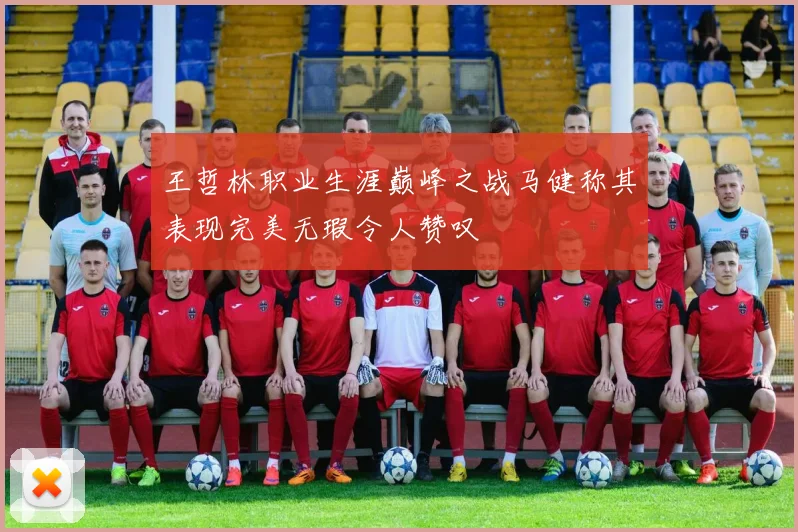 王哲林职业生涯巅峰之战马健称其表现完美无瑕令人赞叹